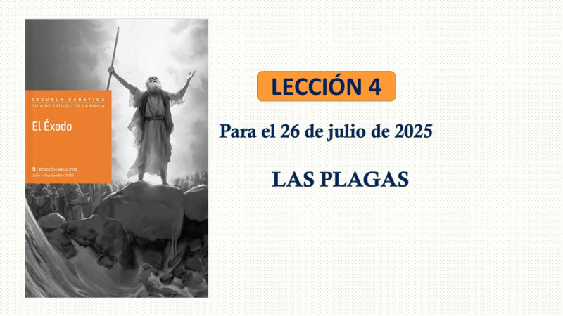 LES 4, BOSQUEJO - LAS PLAGAS